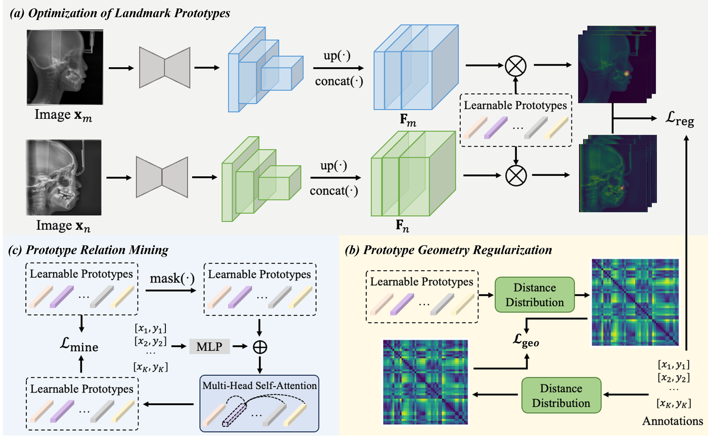 CeLDA+ cephalometric landmark detection framework
